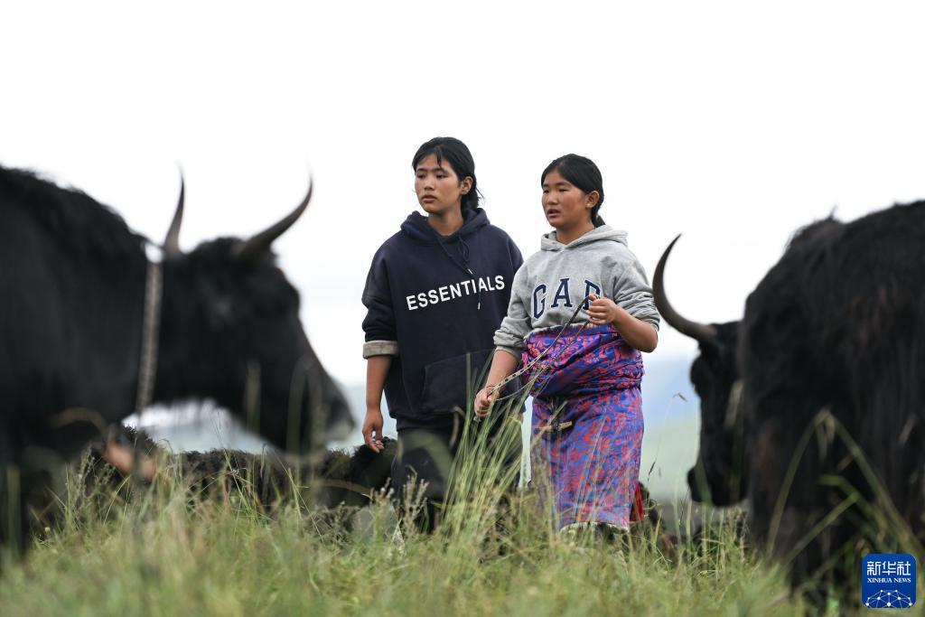 合乐888登录首页